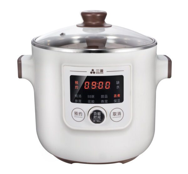 White electric rice cooker with glass lid.