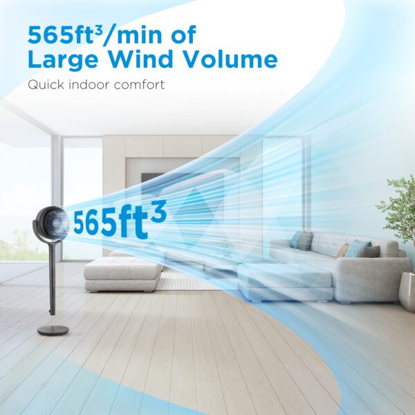 Fan blowing air in a living room.