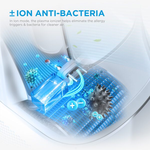 Ionizer eliminates bacteria for cleaner air.