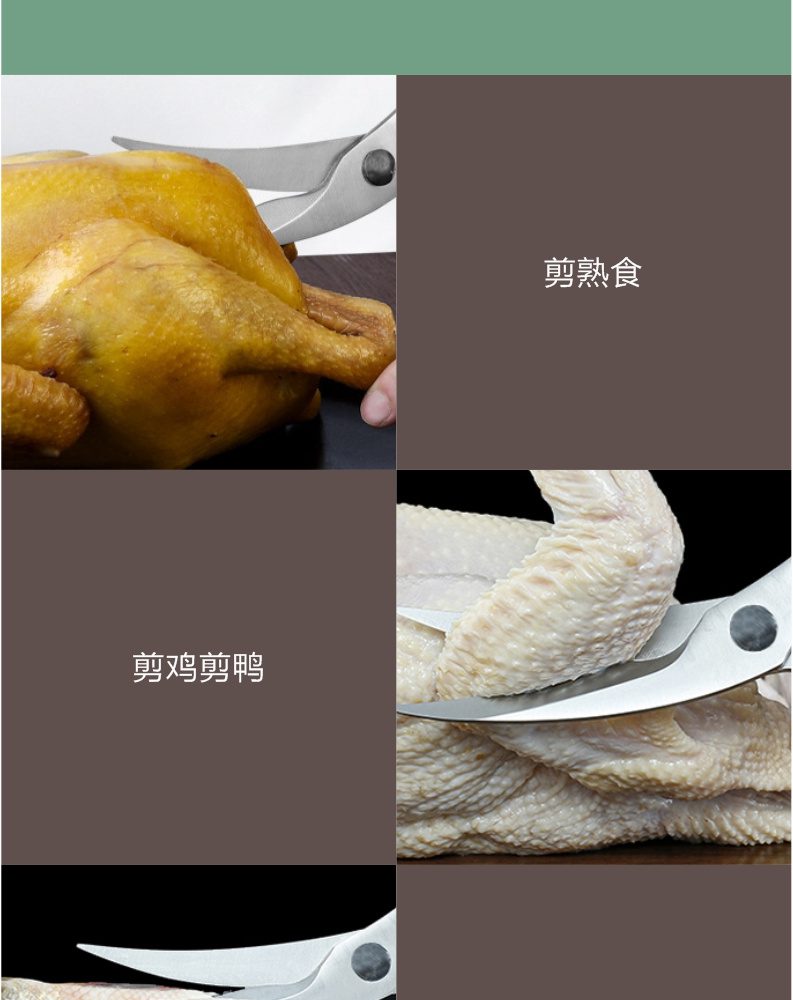 Hivelane Chicken Bone Scissors C1120 product details 06