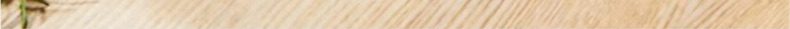 Hivelane C1207 English product details 4 of 10