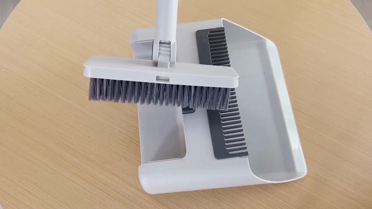 Q10 smaller scrub brush detached from the dustpan assembly